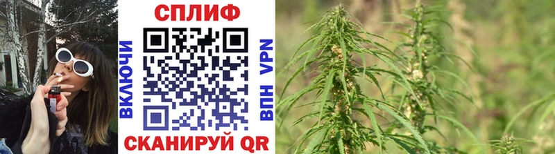 АМФЕТАМИН Берёзовка