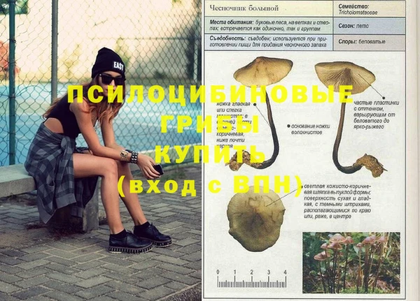 прущие крисы Алексеевка