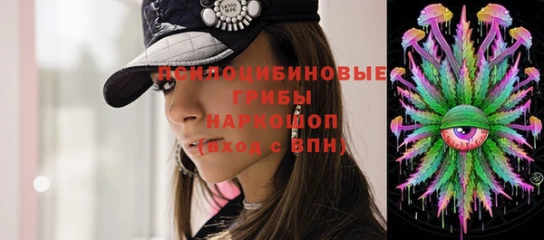 МДПВ Алзамай