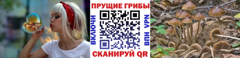 Псилоцибиновые грибы ЛСД  дарк нет состав  Берёзовка 